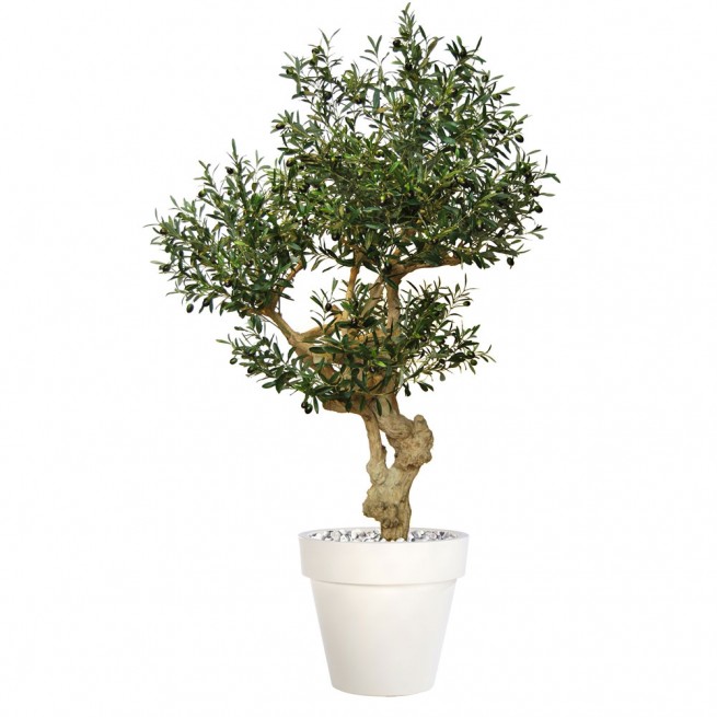Planta semi-artificiala Ila, Olive Crown Green - 200 cm